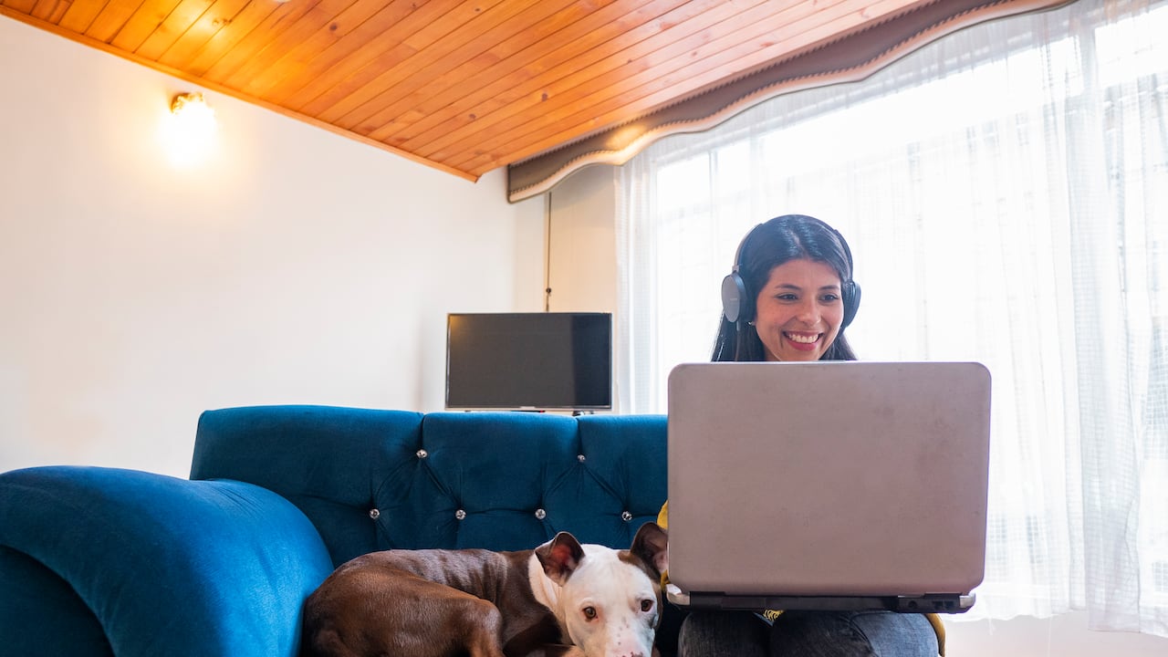 Los animales pasaron de quedarse solos 10 horas al día a tener compañía prácticamente las 24 horas.