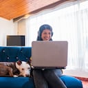 Los animales pasaron de quedarse solos 10 horas al día a tener compañía prácticamente las 24 horas.