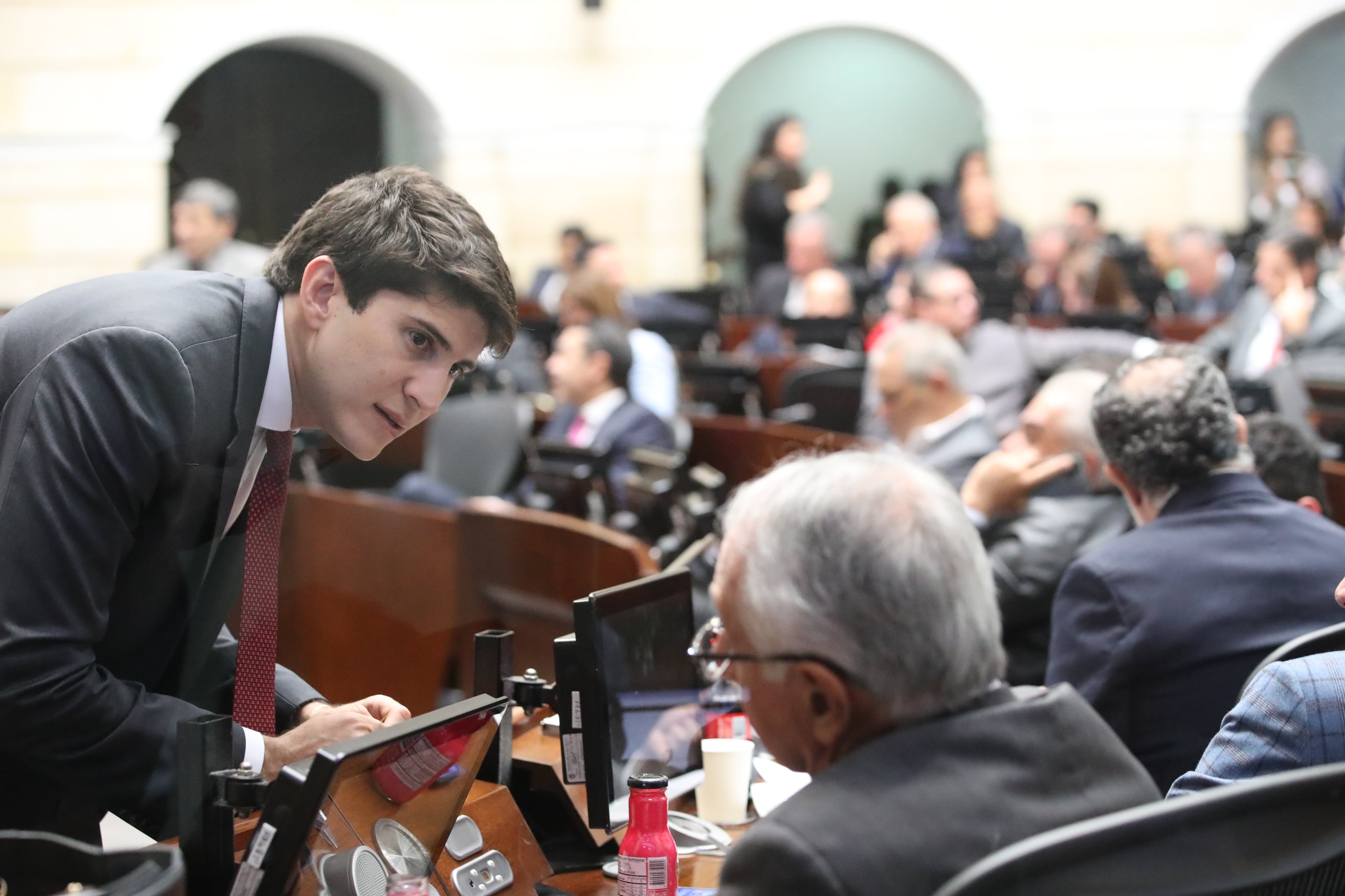 Plenaria Senado, consulta popular