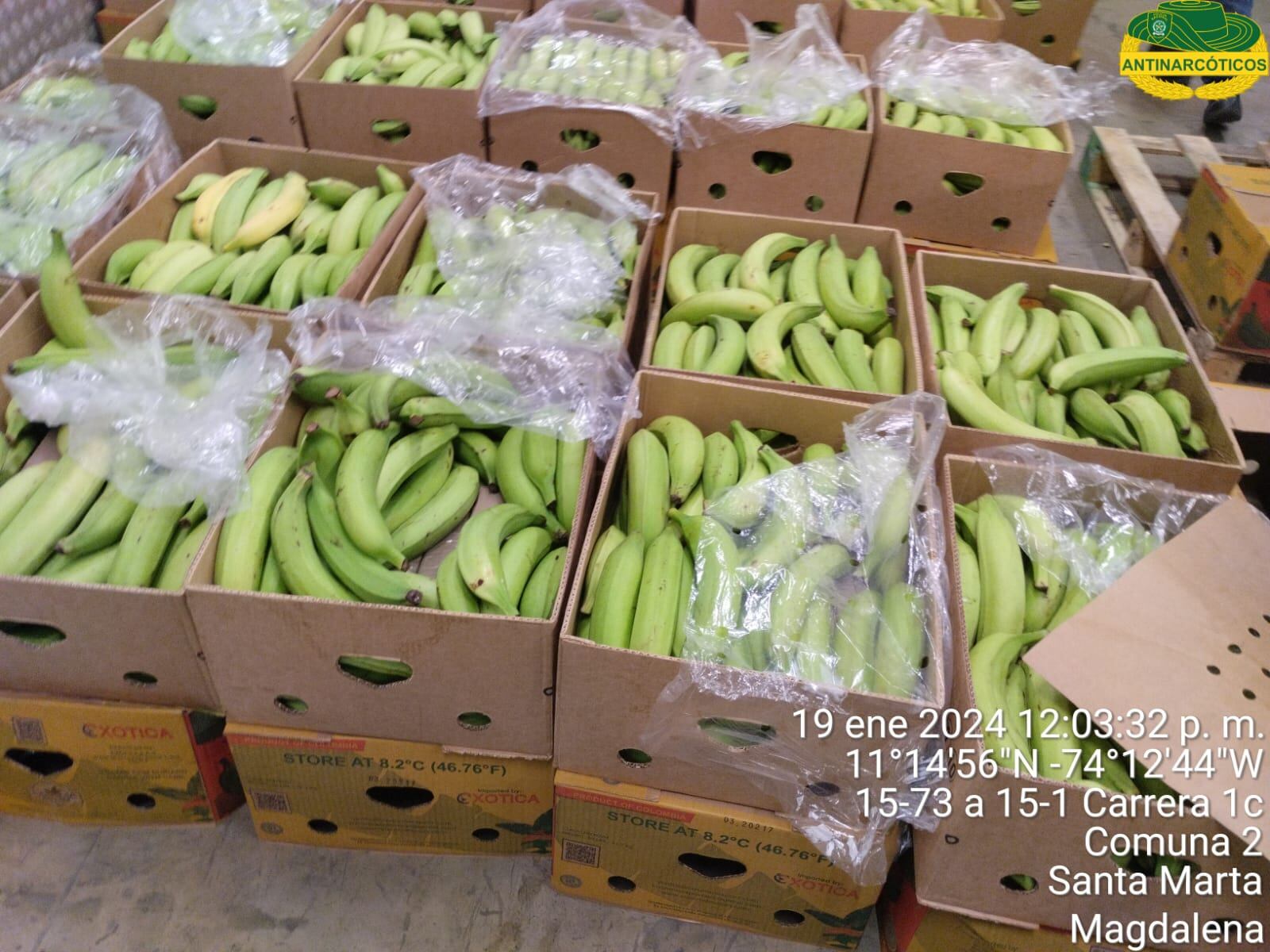 Incautación de cocaína en Santa Marta.