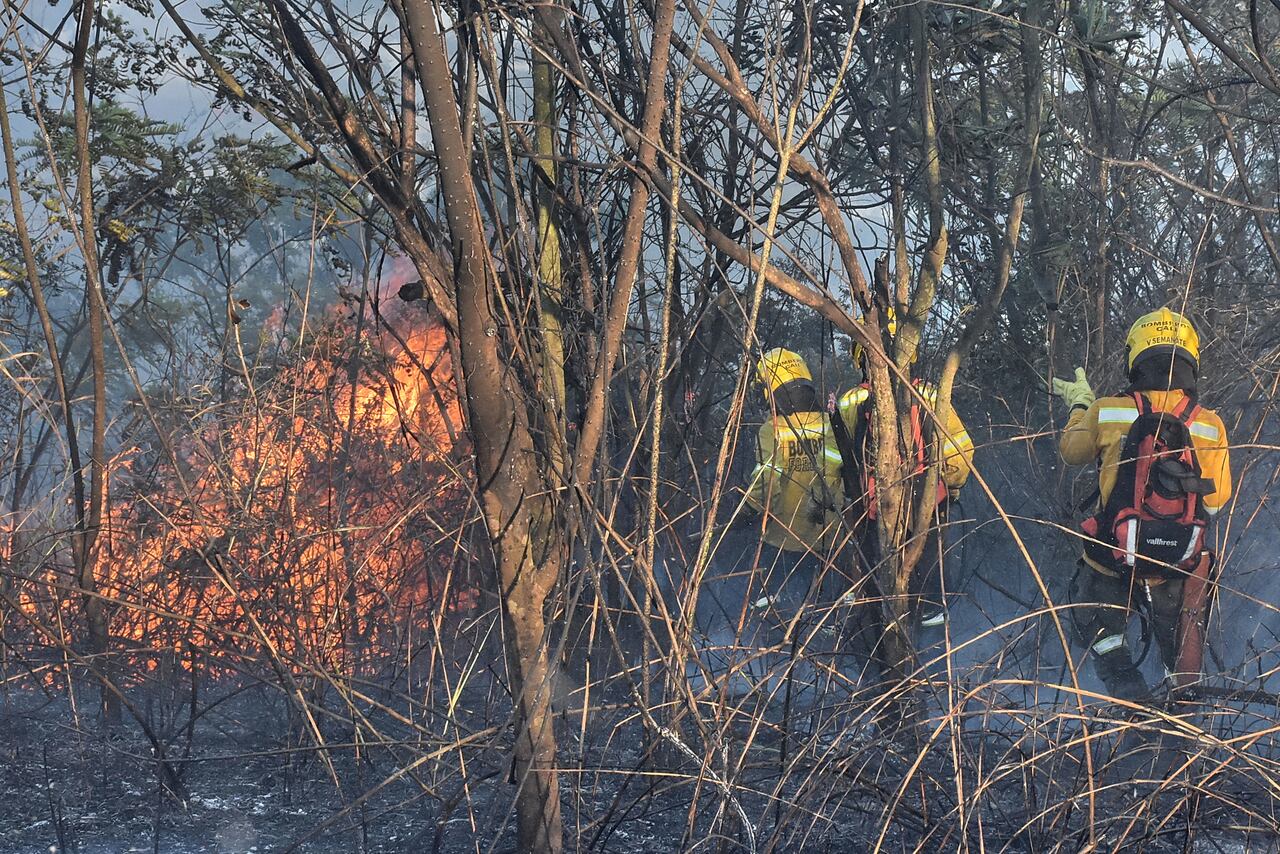Incendio Forestal Santa Mónica Residencial