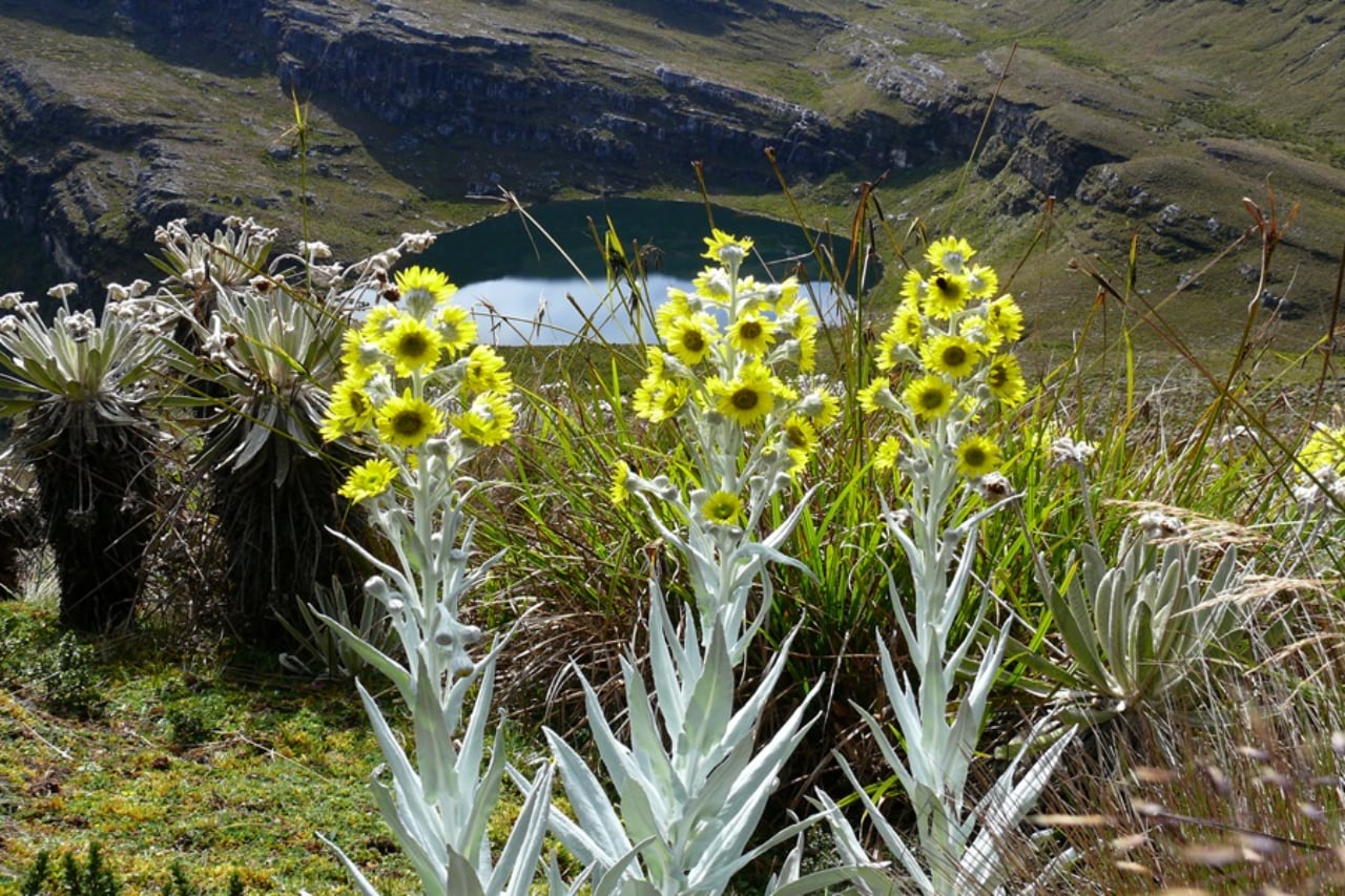 Lagunas Las Orozcas