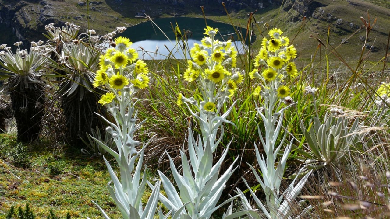Atractivos turísticos de este municipio boyacense.