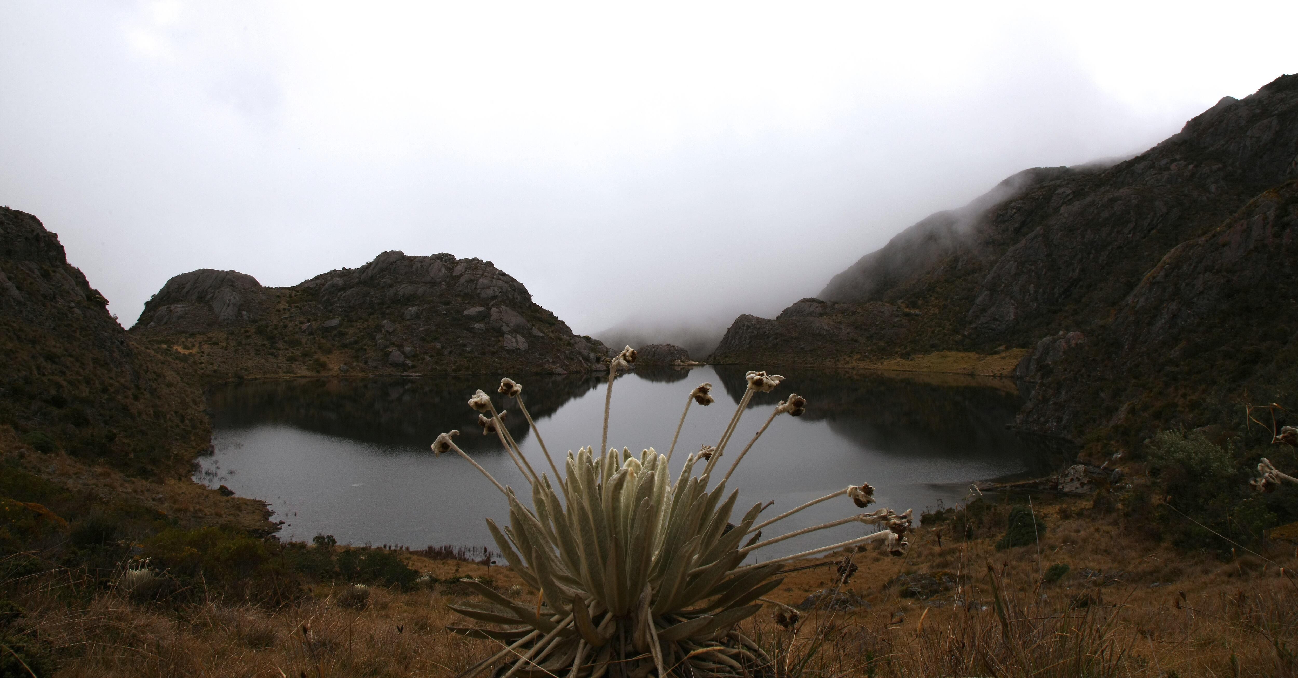 PARQUE NATURAL PARAMO