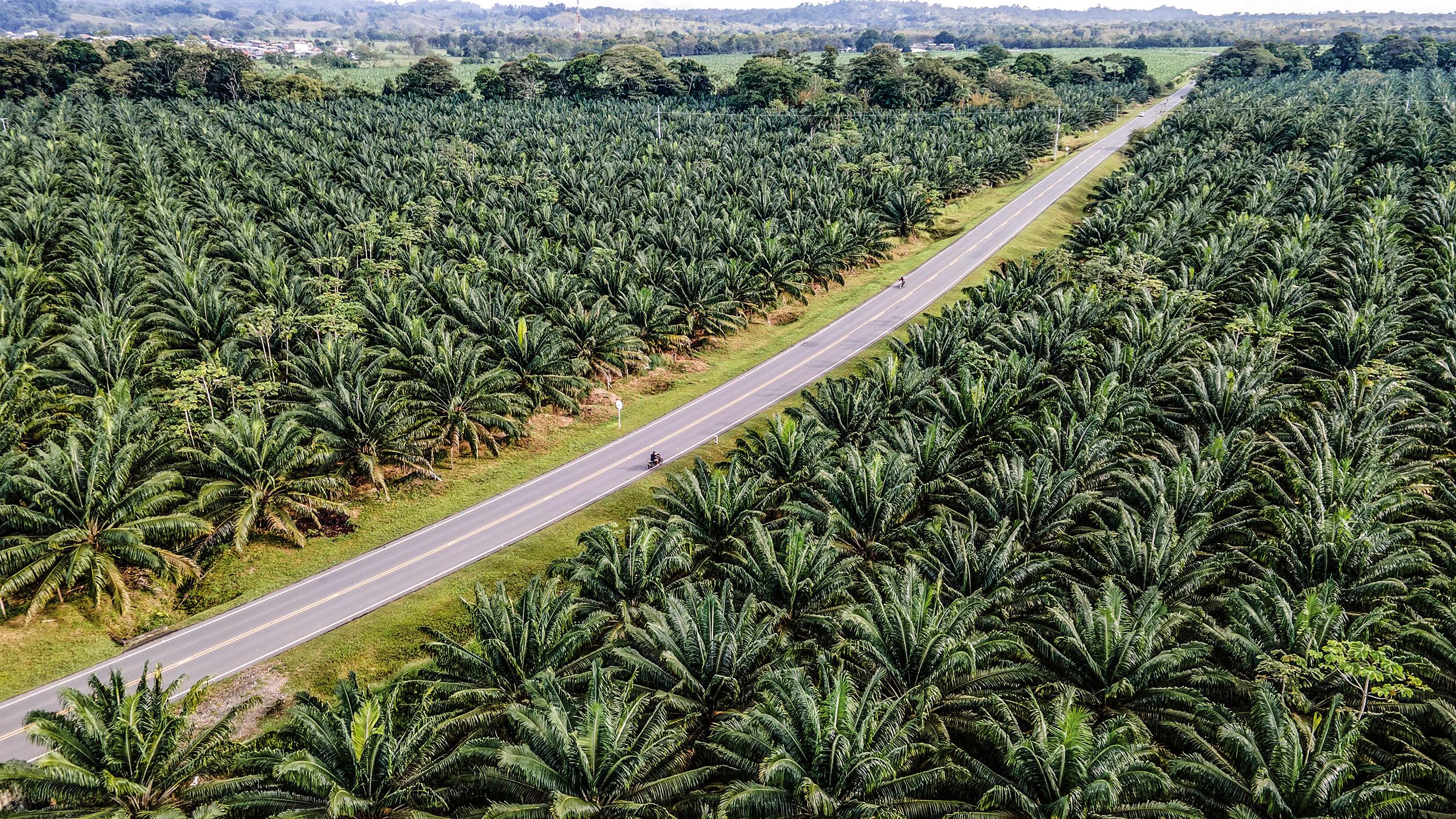Al promover los emprendimientos agroindustriales se les da la oportunidad a las comunidades de encontrar nuevas fuentes de ingresos.