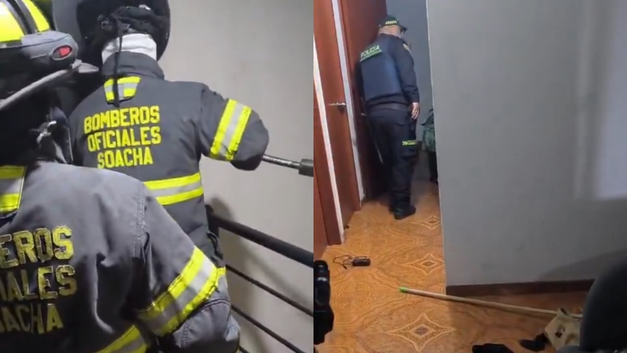 Este fue el momento en el que las autoridades ingresaron al sitio.