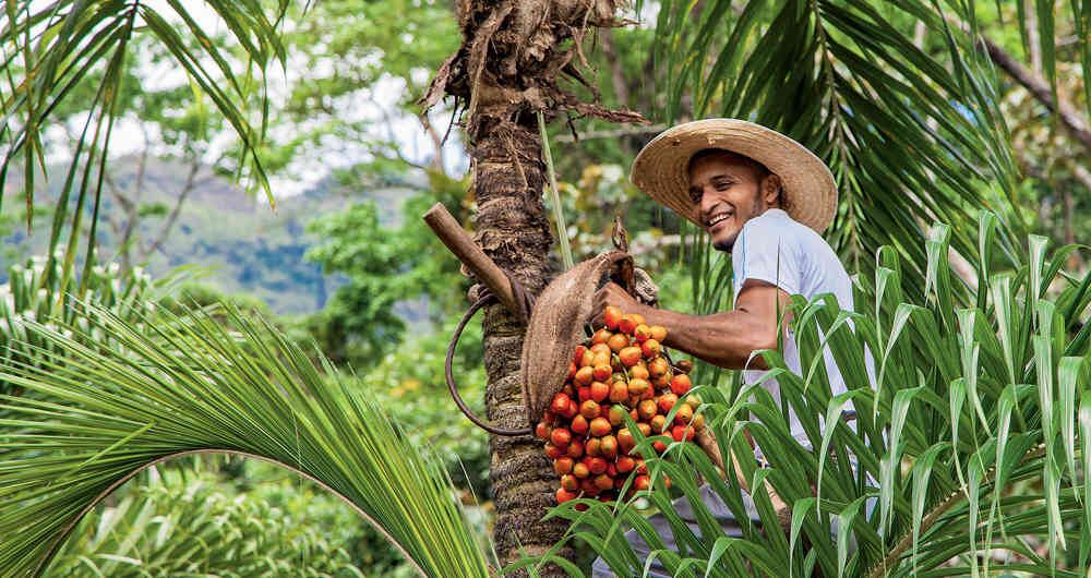 El país está listo para atender y sorprender a propios y extran~os con los infinitos frutos del campo colombiano.