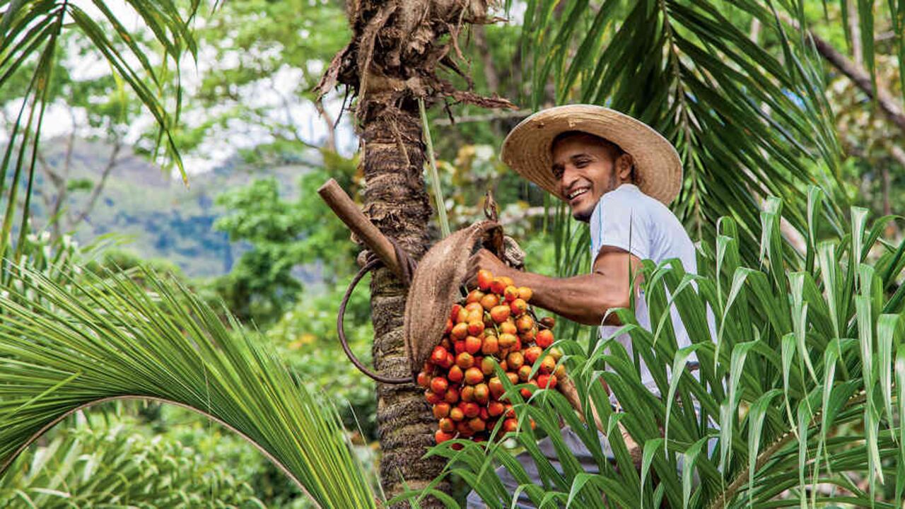 El país está listo para atender y sorprender a propios y extran~os con los infinitos frutos del campo colombiano.