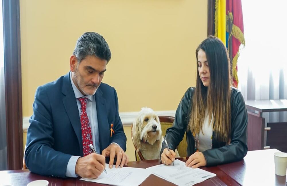 La senadora Esmeralda Hernández radicó el proyecto de ley.