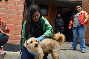 El Instituto de Protección Animal de Bogotá realizó la aprehensión de dos perritos en Usme.