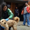 El Instituto de Protección Animal de Bogotá realizó la aprehensión de dos perritos en Usme.