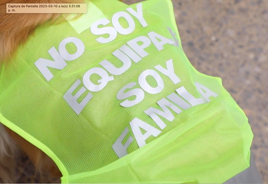 La Secretaría de Ambiente de Bogotá dio una serie de recomendaciones para viajar con las mascotas.