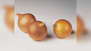 La cebolla contiene una sustancia llamada glucoquinina, que puede disminuir el nivel de azúcar en sangre. Foto: GettyImages.