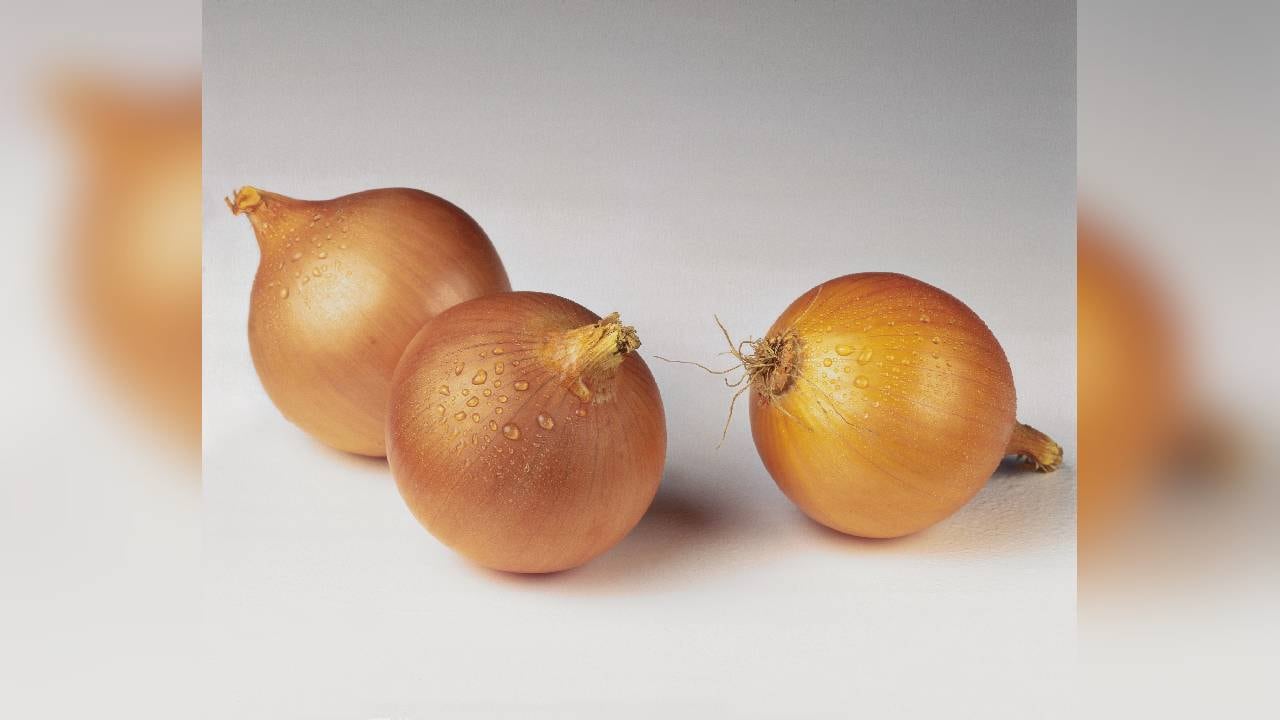 La cebolla contiene una sustancia llamada  glucoquinina, que puede disminuir el nivel de azúcar en sangre. Foto: GettyImages.