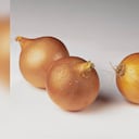 La cebolla contiene una sustancia llamada glucoquinina, que puede disminuir el nivel de azúcar en sangre. Foto: GettyImages.