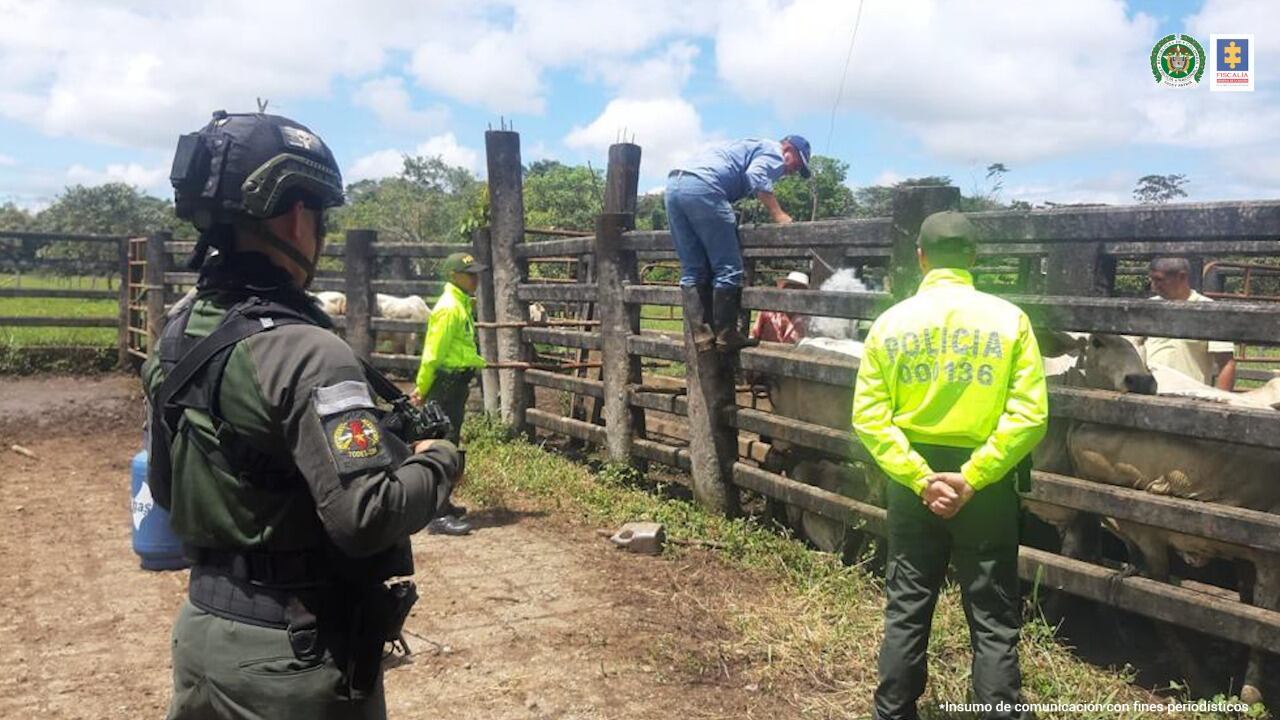 Incautan bienes a socio de ‘El Chapo’ Guzmán en Colombia. Se trata de 175 bienes que pertenecerían a Néstor Alonso Tarazona Enciso, considerado como el principal socio en Colombia de Joaquín ‘El Chapo’ Guzmán.