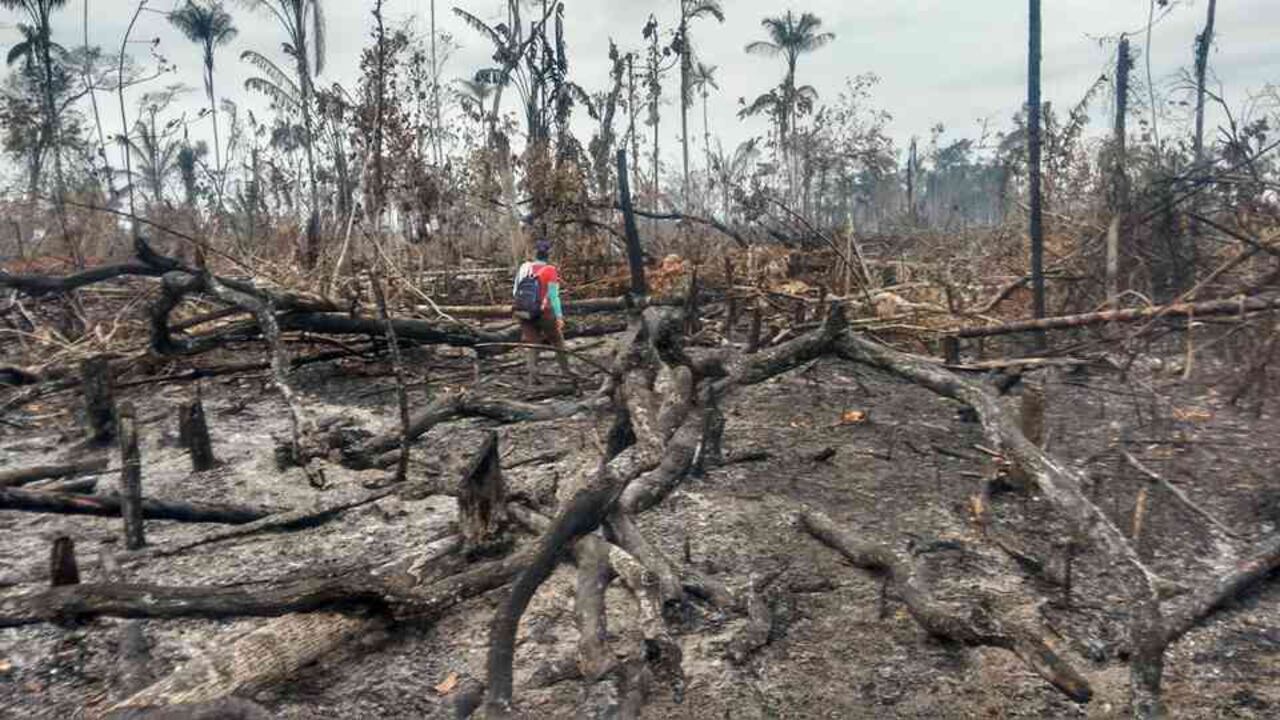 Los incendios forestales del Guaviare afectaron cerca de 20.000 hectáreas en los tres primeros meses de 2018. La gravedad de la situación llevó a la creación de un “centro de operaciones” para coordinar al Ejército, la Fiscalía y las autoridades ambientales.