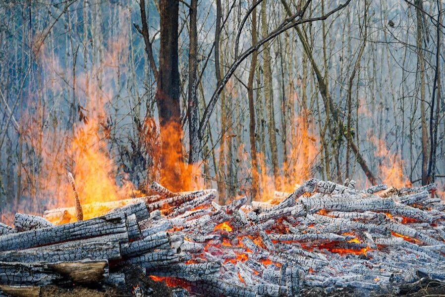 Gran incendio forestal en Sucre
