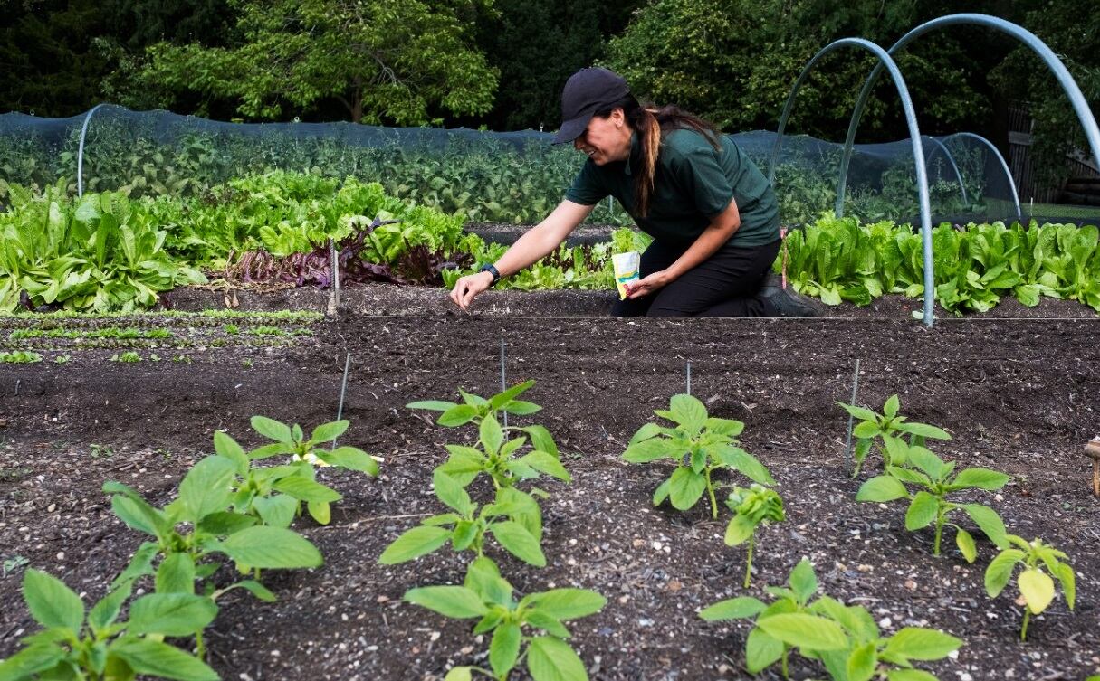 Frutero espera cerrar el 2022 con una facturación de más de 2.700 millones de pesos. Foto: Frutero