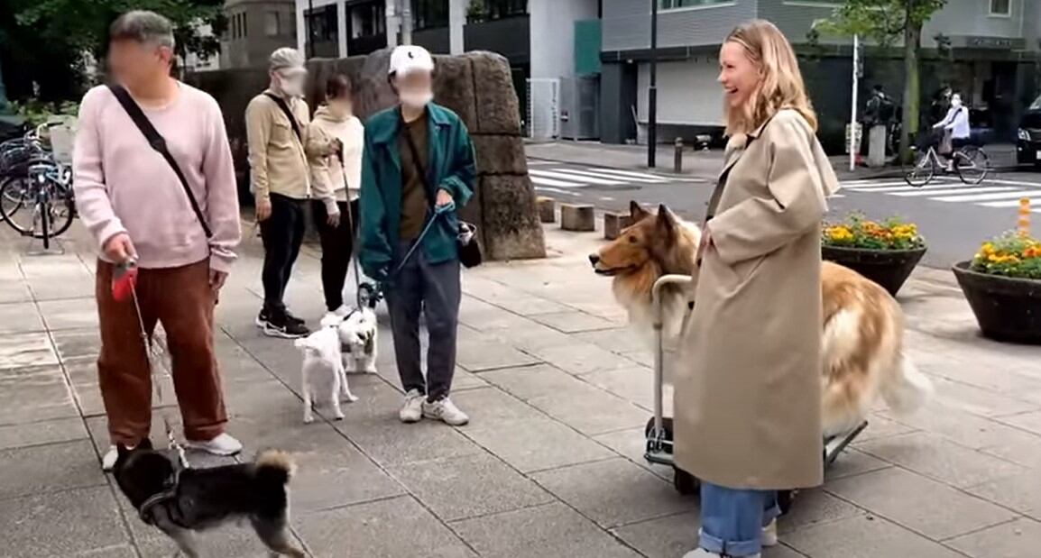 Toco es el nombre que se dio el youtuber