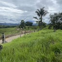Fuerzas Militares toman control en la vereda Palmeiras del municipio San José del Fragua, en Caquetá.