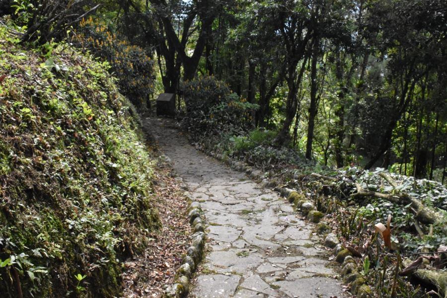 Jardín Botánico Ceres