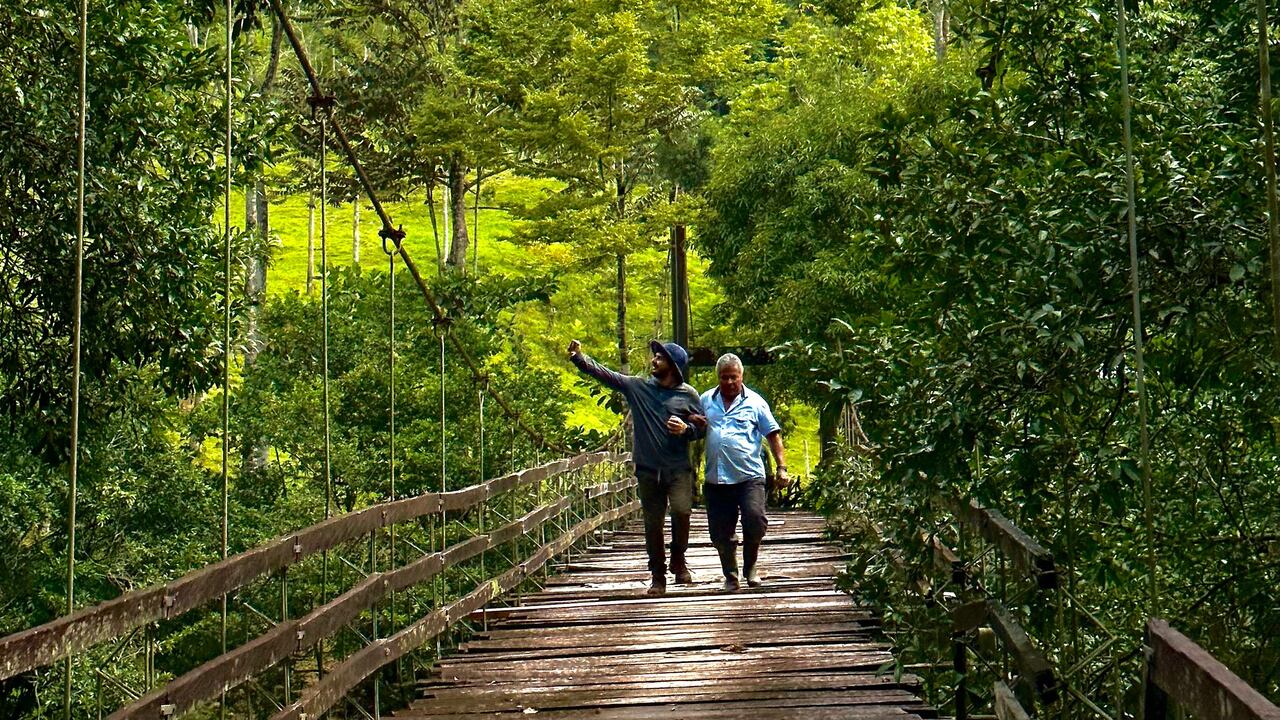 El bosque Tosh, además de compensar la huella de carbono de la marca, ha impulsado las realidades de las comunidades que allí habitan.