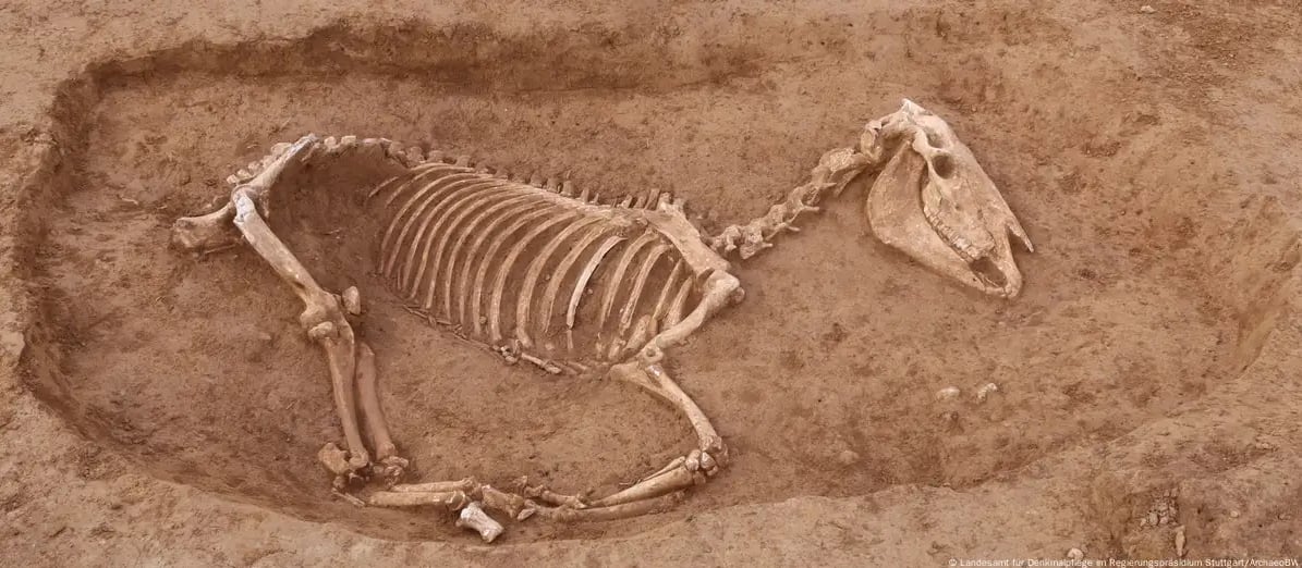 El descubrimiento plantea nuevas dudas sobre el uso de caballos en el ejército romano.