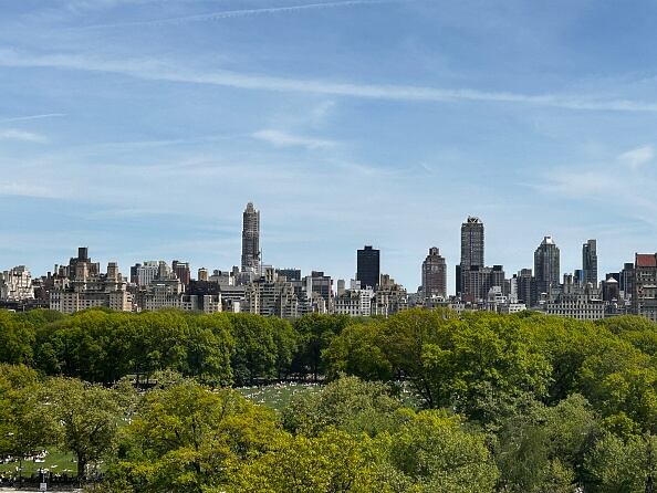 De acuerdo con el reporte de las autoridades la pelea verbal se presentó cuando la pareja paseaba a sus dos perros en el Central Park y se encontraron con otra persona, que hacía lo propio pero con tres mascotas. (Photo by: Lindsey Nicholson/UCG/Universal Images Group via Getty Images)