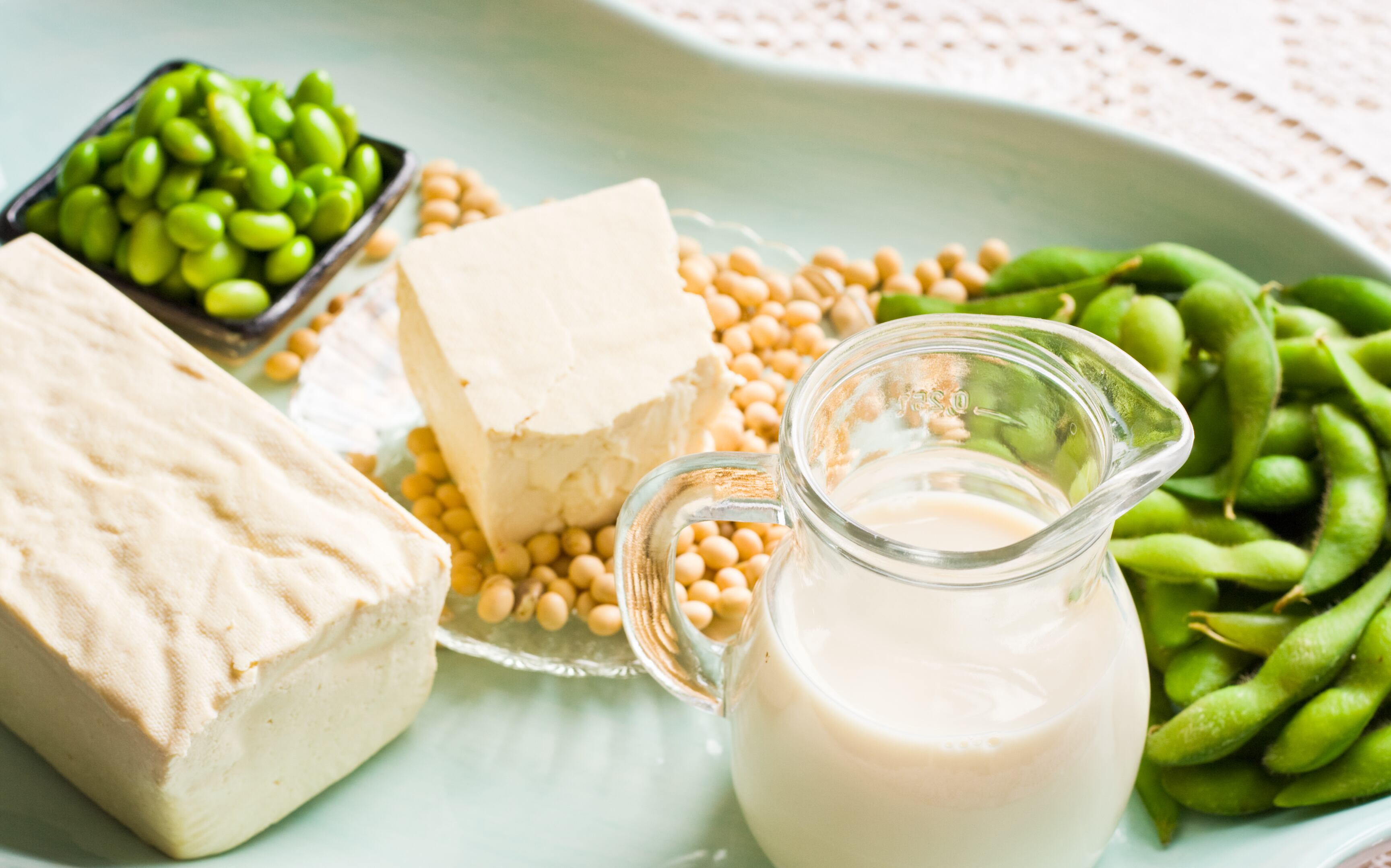 A variety of soy milk and soybean products. They are sitting in a soft aqua colored tray. There is a brick of firm tofu and a small pitcher of soy milk. On the right are some green soy beans and in back there is a small dish of shelled soybeans.