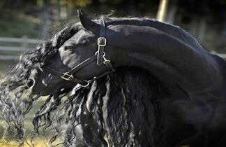 Foto: Cally Matherly