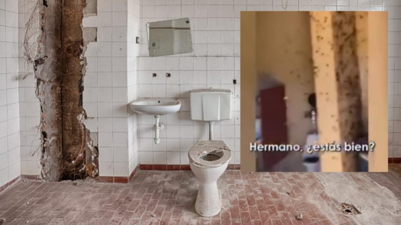 Fue un grupo de estadounidenses los que encontraron el baño abandonado repleto de cucarachas.