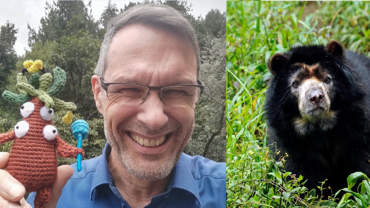 El saliente embajador de Alemania, Peter Ptassek y su encuentro con un oso de anteojos.
