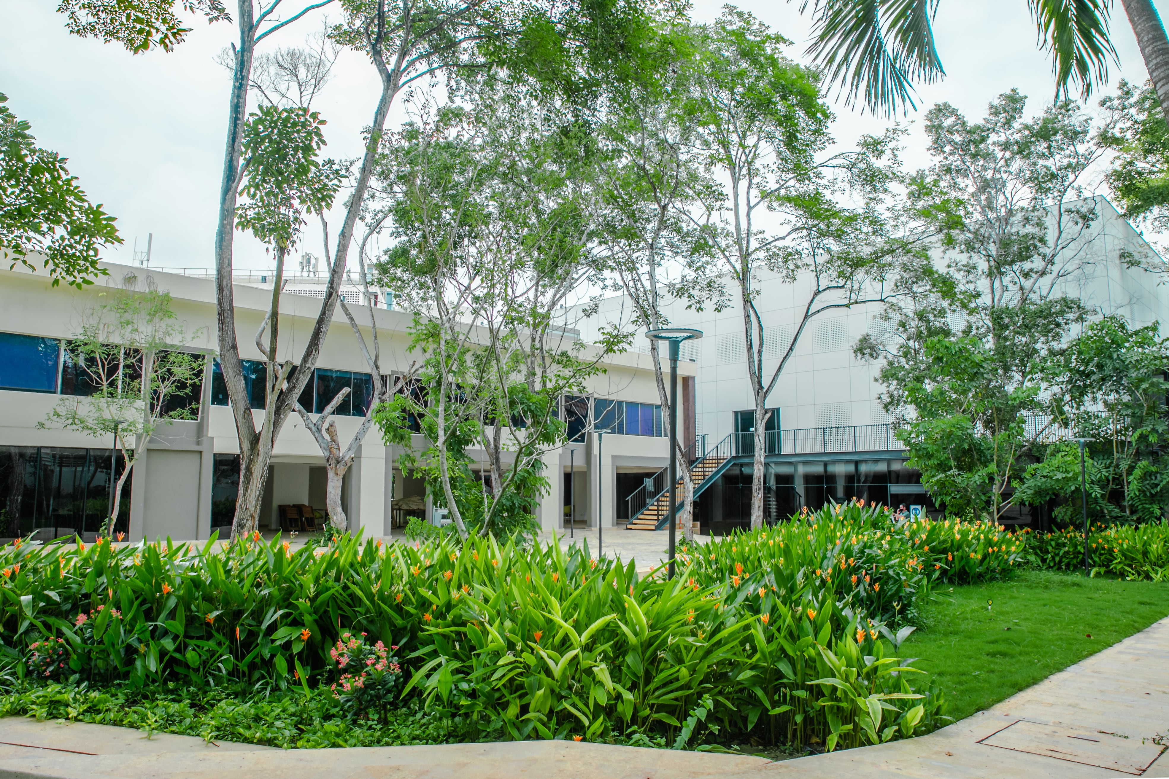 Universidad Tecnológica de Bolívar - API
