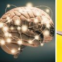 Expertos aconsejan el consumo de suplementos para reducir el riesgo de padecer de demencia. Foto: Getty Images. Montaje SEMANA.