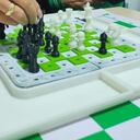 Los colores blanco y negro agota la visión de los jugadores, por es este tiene cuadros verdes y lenguaje braille.