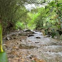 Ambientalistas, políticos, científicos y campesinos denuncian que las compañías aguacateras están contaminando el agua del Quindío con agroquímicos.