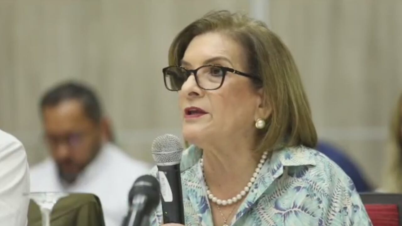 La procuradora, Margarita Cabello.