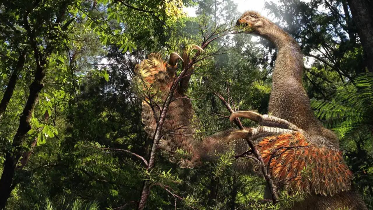 Científicos encontraron en Mongolia un dinosaurio con garras de 30 cm y una estructura nunca vista.