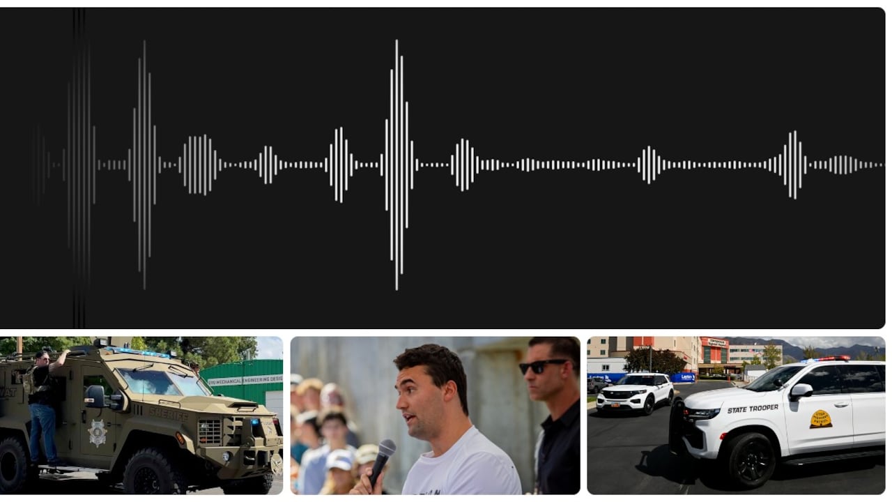 El audio fue publicado por varios medios de comunicación.