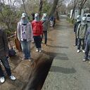 Calle de las palomas en Tokio, Japón.