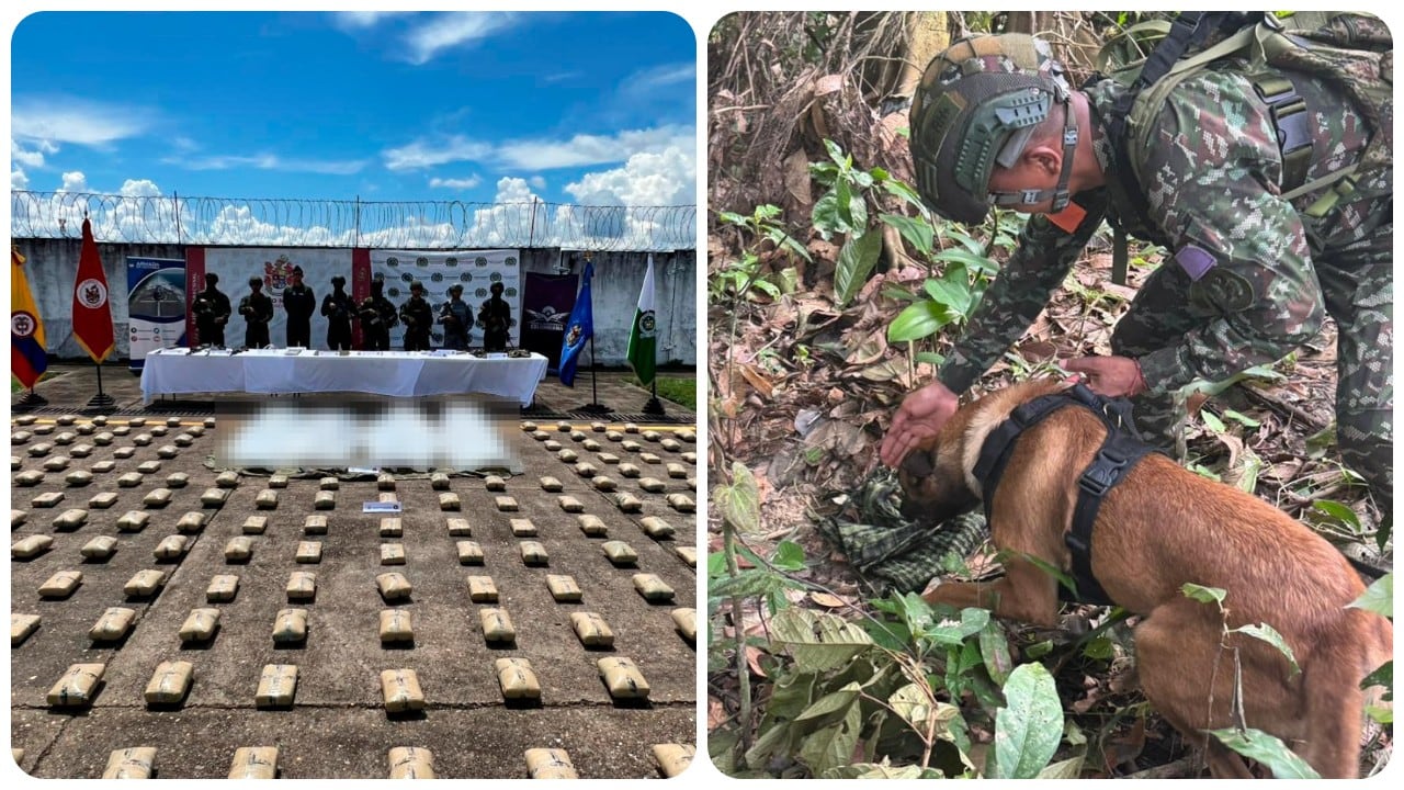 Neutralizan a 10 integrantes de las disidencias de Iván Mordisco en Amazonas.