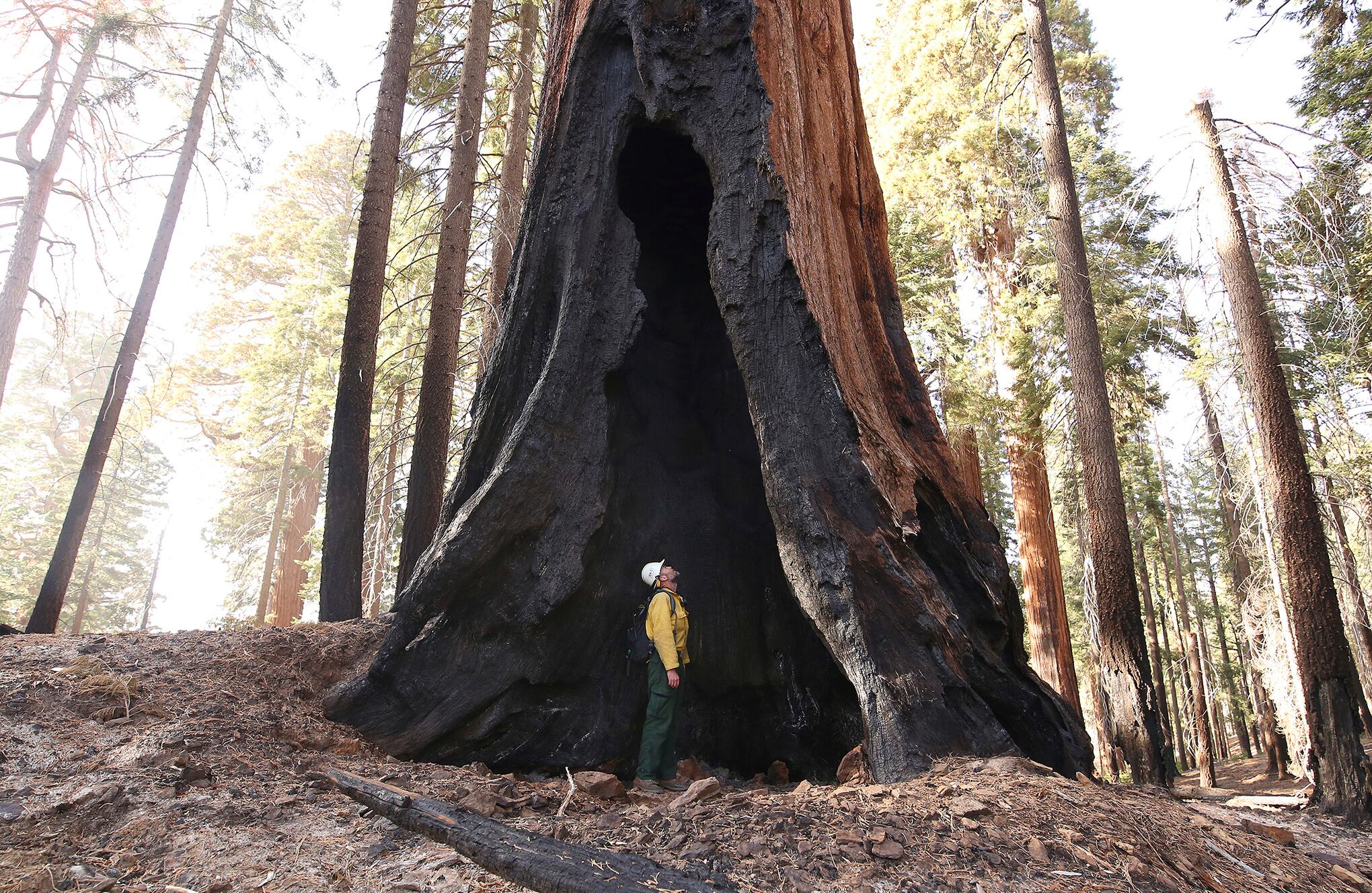 Fotos de la semana 26 nov
