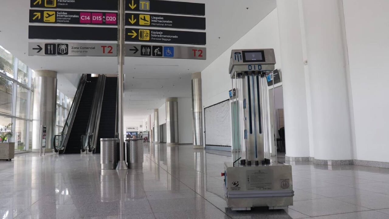 El desarrollo del robot Did tuvo una inversión de 400 millones de pesos.