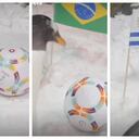 Los pingüinos en Emiratos Árabes que han pronosticado a los ganadores del Mundial, ¿seguirán acertando?