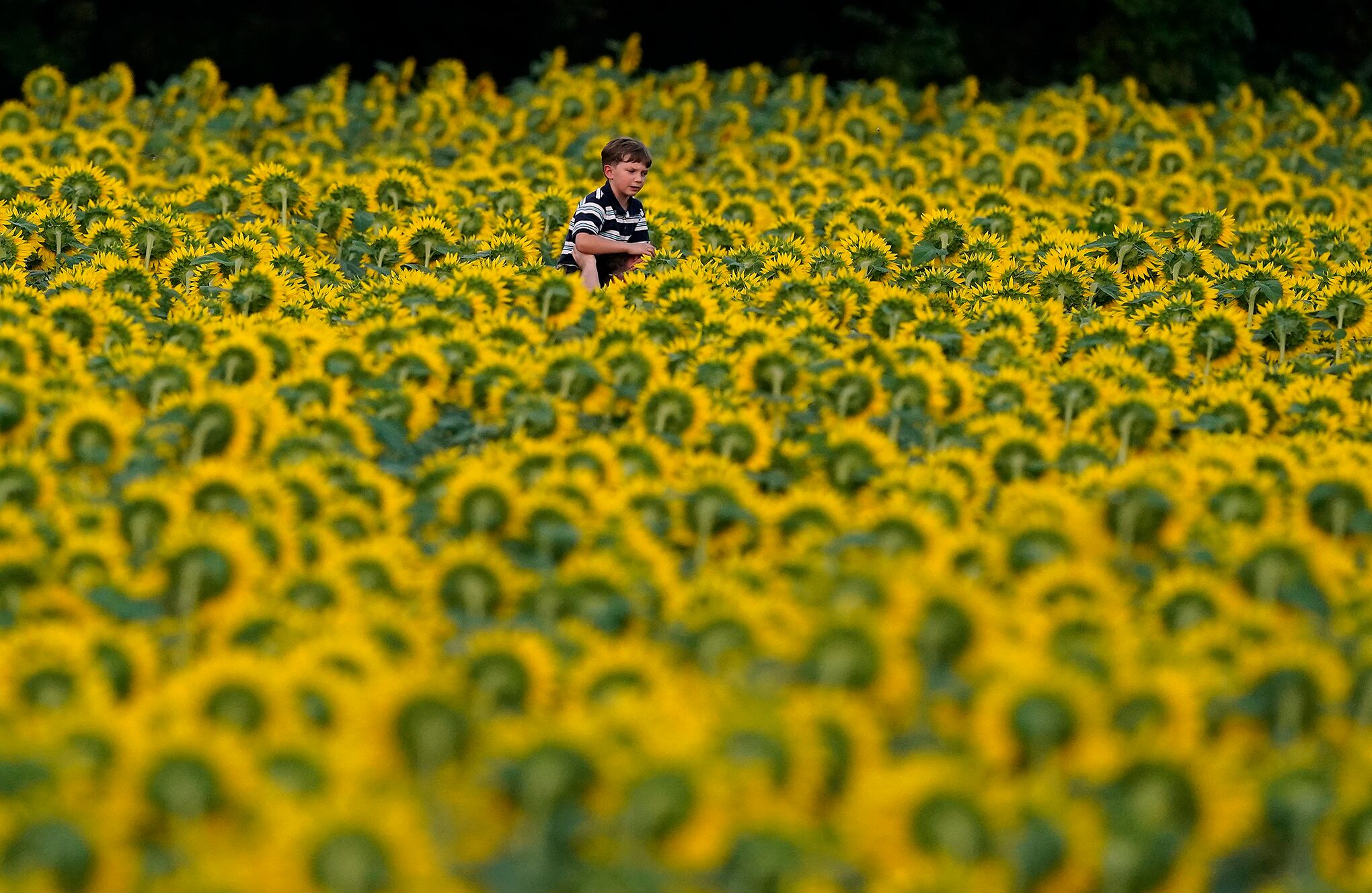 Fotos de la semana 10 sept