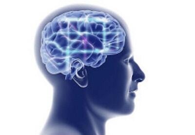 Existen alrededor de 100.000 millones de neuronas en el cerebro.