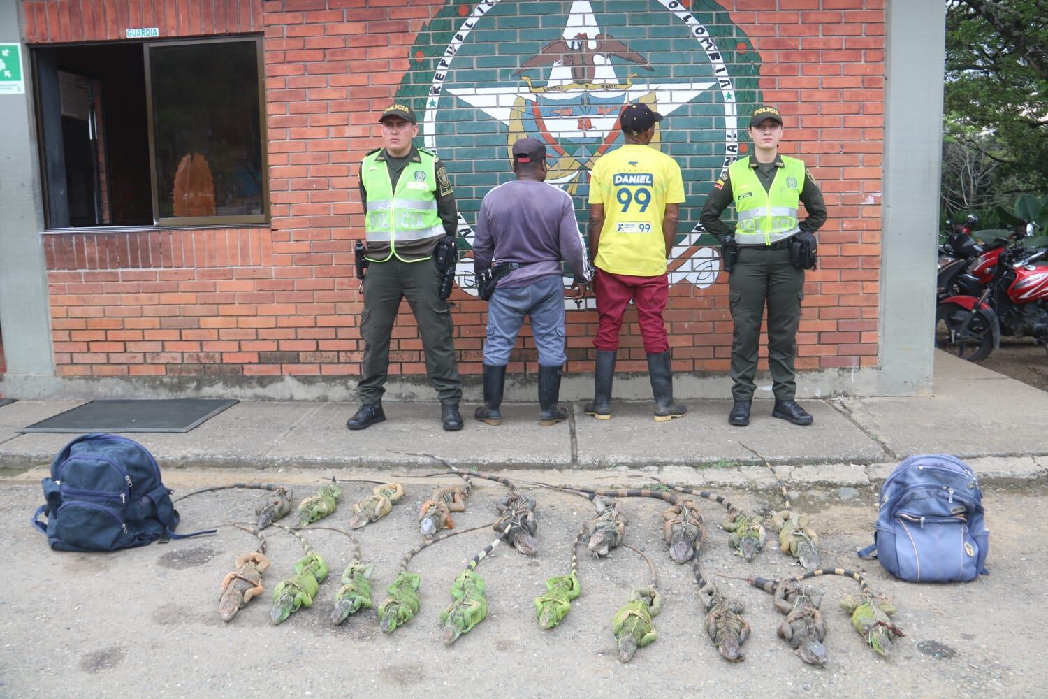 Los sujetos llevaban las iguanas amarradas dentro de dos maletines grandes.