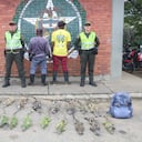 Los sujetos llevaban las iguanas amarradas dentro de dos maletines grandes.