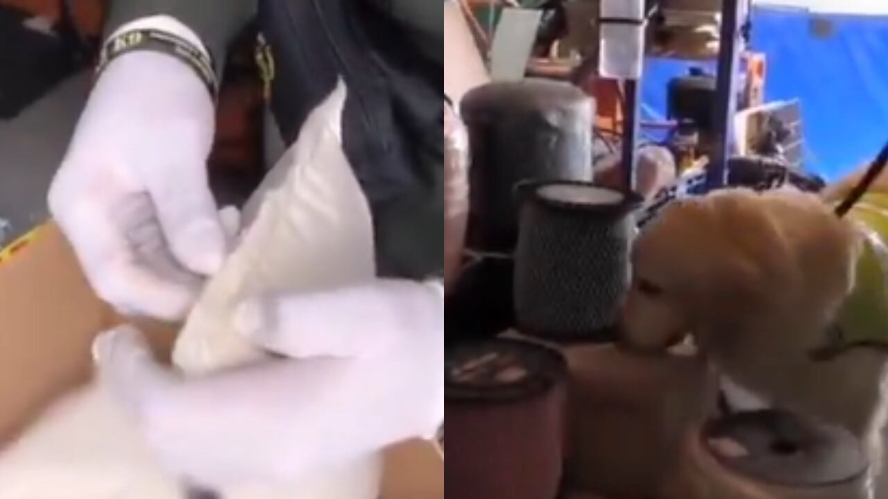 La cocaína hallada en El Dorado.